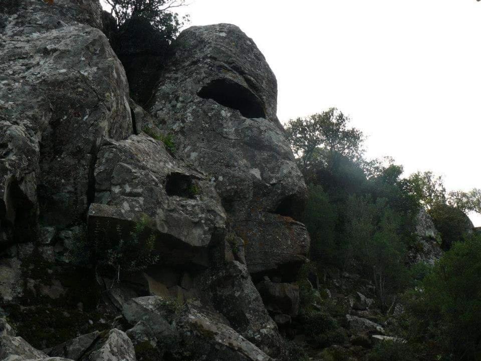 Апартаменты Il Giardino Di Frafa Куарту-Сант'Элена Экстерьер фото